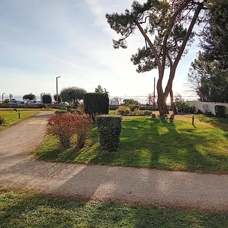 Georges De Didonne - En Duplex - Les Albatros - Face A La Saint-Georges-de-Didonne